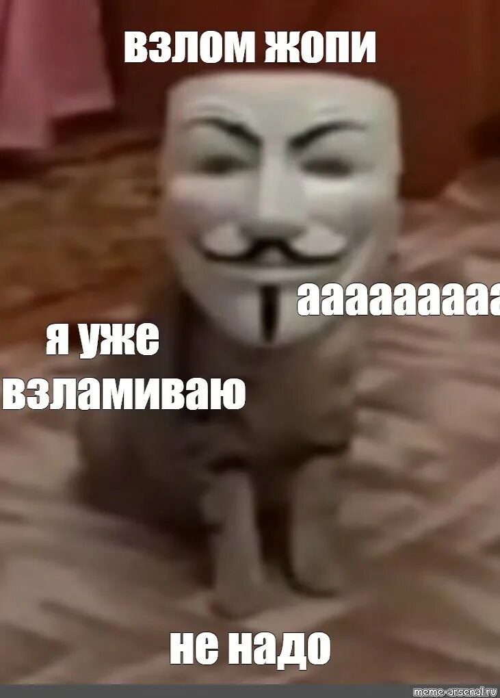 Взломанная memes. Кот анонимус. Кот в маске Анонимуса повезло повезло. Мемы анонимус кот. Кот в маске Анонимуса Мем.