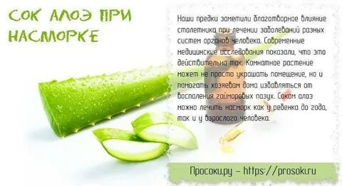 Можно ли сок алоэ капать в нос