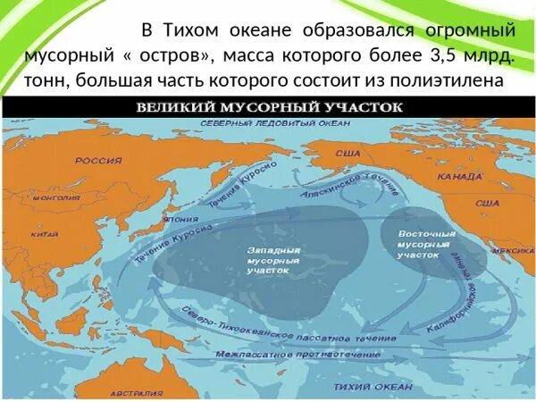 Мусорный континент расположен в океане