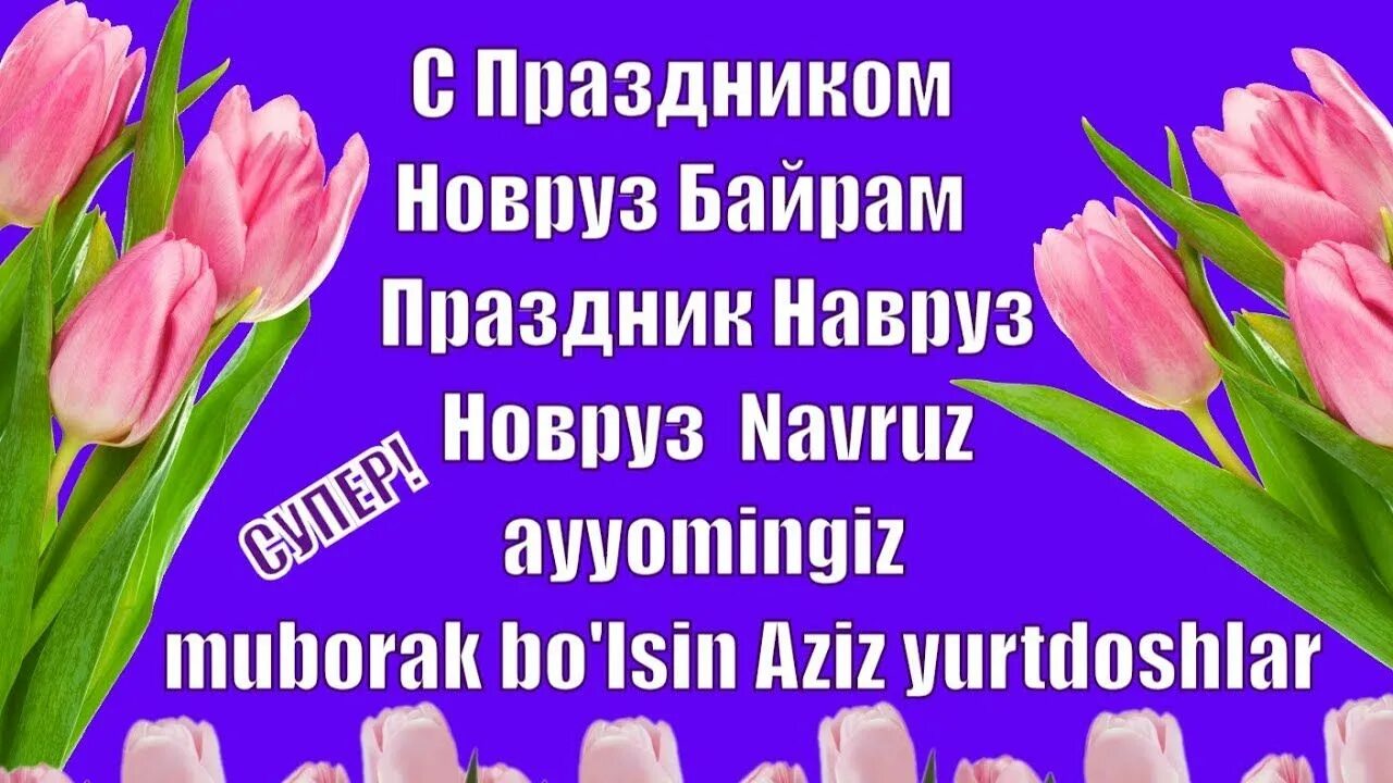 Поздравления с новруз байрамом на русском языке. С праздником Навруз. Открытки с праздником Навруз. С праздником нарвузбайран. С праздником Навруз поздравления.