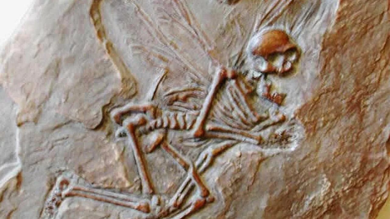 Dark discoveries