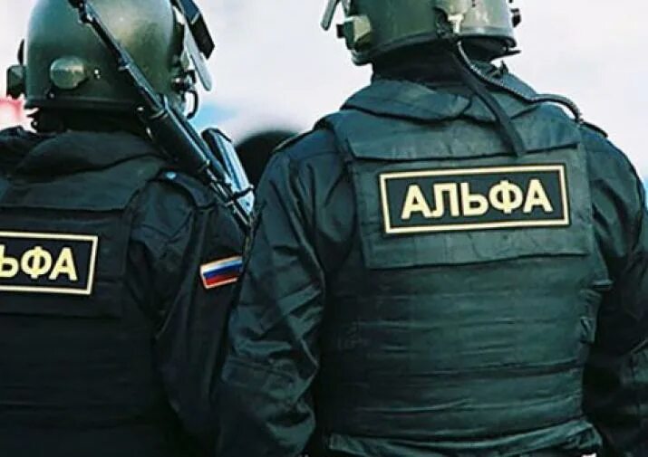 Омон группа альфа. Омон группа альфа. Собр альфа. Ак 105 в собр. Омон группа альфа.