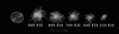 Fill power