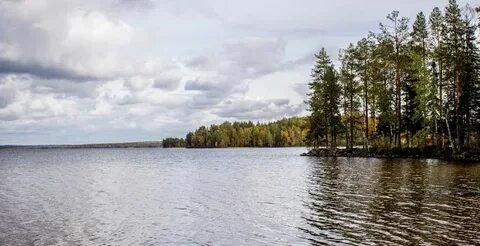 Клев в архангельске