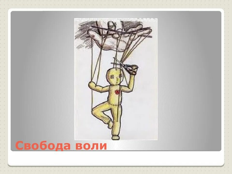 1 2 3 4 воля