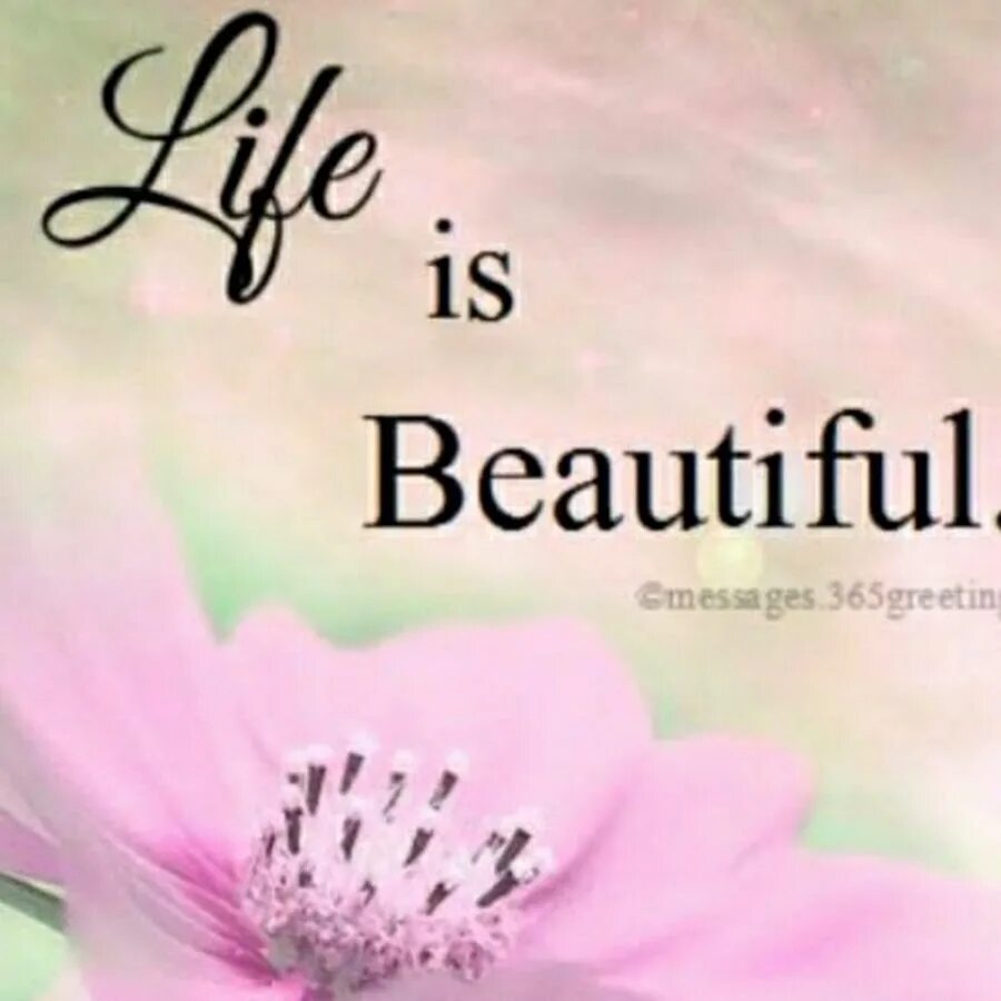 Life is beautiful картинки. It is бьютифул лайф. Life is beautiful цитаты. Открытка beautiful Life.