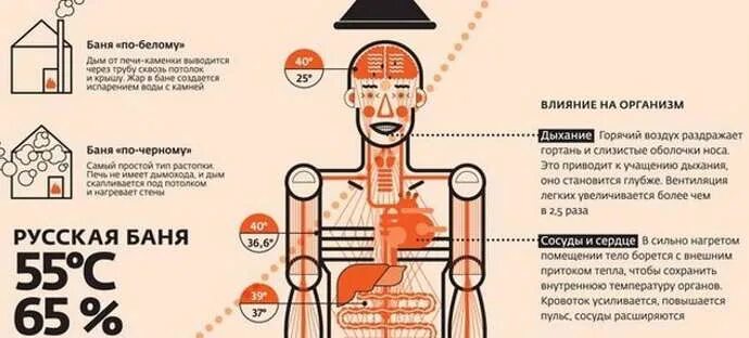 Можно ли в баню с температурой 37.5. Влияние бани на организм. Воздействие бани на организм человека. Влияние сауны на организм. Влияние бани и сауны на организм человека.