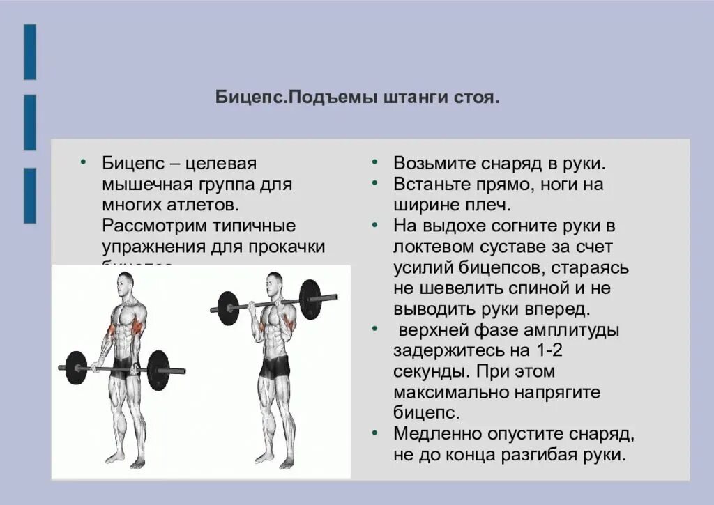 Подъем на бицепс как делать. Подъем штанги на бицепс прямой гриф. правильная техника подъема штанги на бицепс стоя. подъем штанги на бицепс техника. техника поднятия штанги на бицепс.