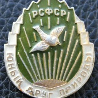 Юный друг предложение