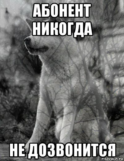 Через полчаса пойдем