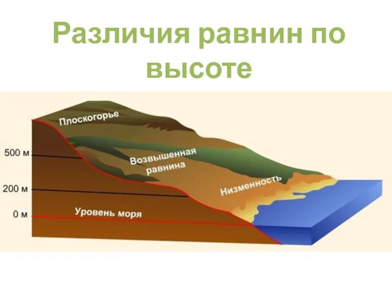 Разница уровня морей. Различие равнин по высоте. Схема различие гор и равнин по высоте. Схема равнины по высоте. Типы равнин по высоте.