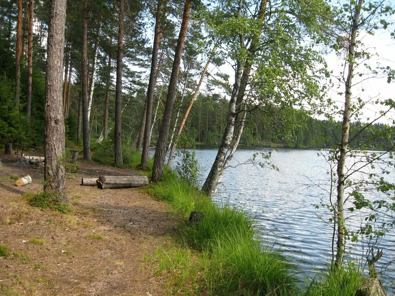 Заовражные озера ленобласть. 47 оз ленинградской. Озеро александровское выборгский район ленинградская. 47 оз ленинградской. 47 оз ленинградской.