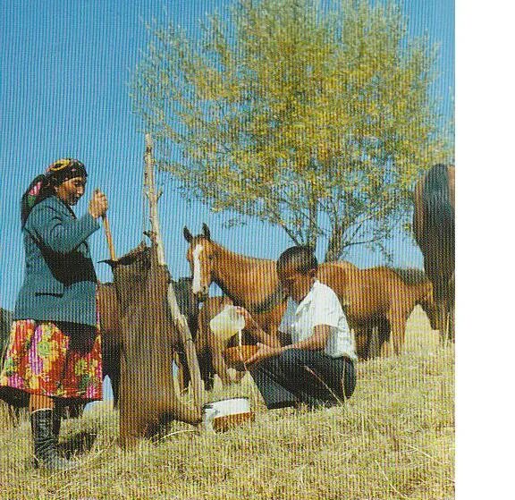 Кумыс. Кобылье молоко в бурдюке. Народы кочевники с бурдюками. Бурдюк кочевников. Мама купила 4 л кумыса