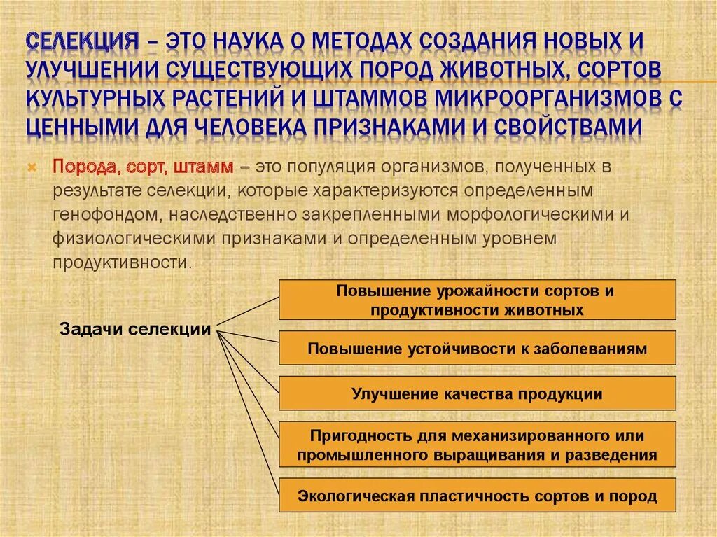 Селекция сорт порода штамм. Селекция и ее задачи. Предмет задачи и методы селекции. Селекция основные понятия и методы.