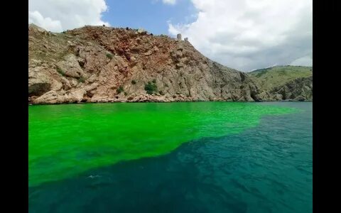 Зеленое черное море