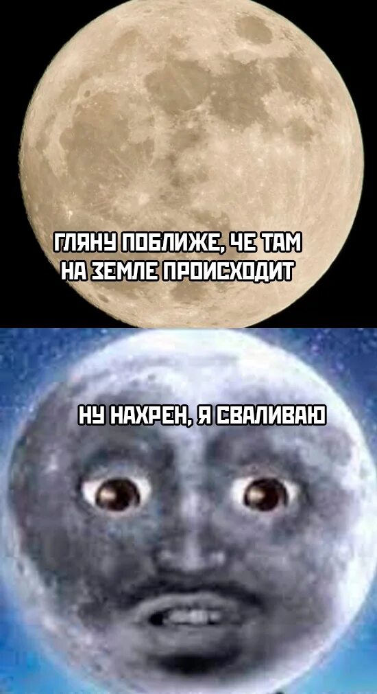 Чтобы к вике близко не приближался. Чтобы к вике близко не приближался. Чтобы к вике близко не приближался. Вика мем. Хорош мем.