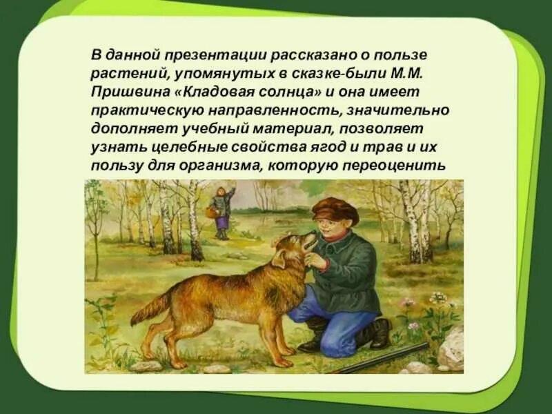 Собаки пришвина в рассказах. Пришвин произведение кладовая солнца. Пришвин кладовая солнца 6 класс. Пришвин кладовая солнца о Митраше.