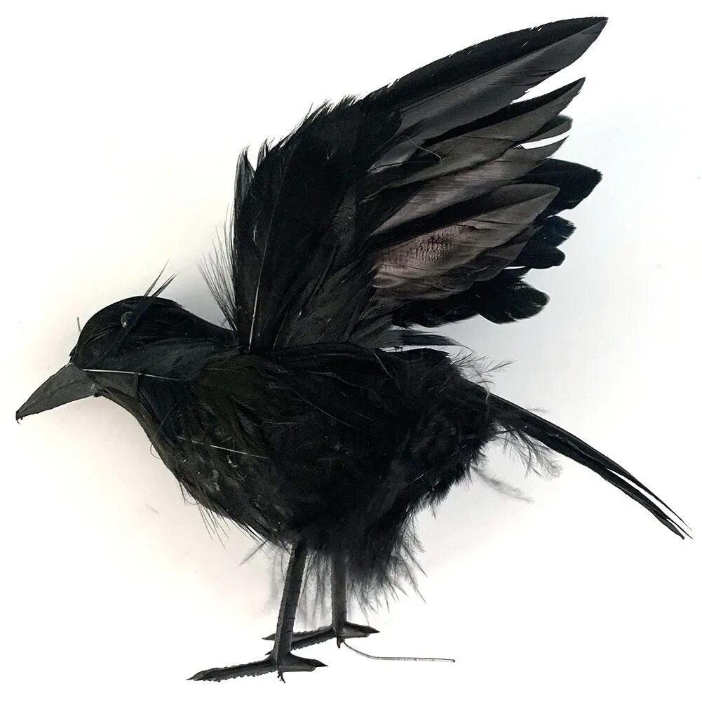 Модель ворона. Перо ворона. Ворона 3d модель. Лапы ворона. Crow мод.