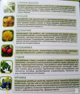 Являются ли мочегонными