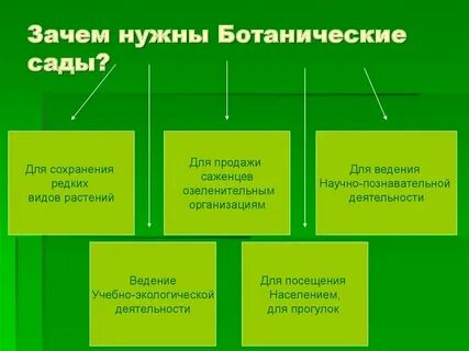 Общий вид растения это