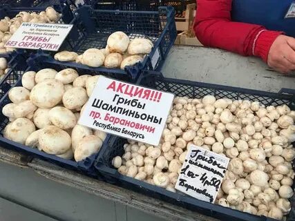 Продана сегодня минск