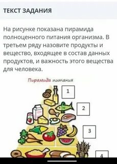На рисунке изображены продукты