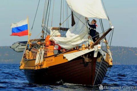 Тендер 16