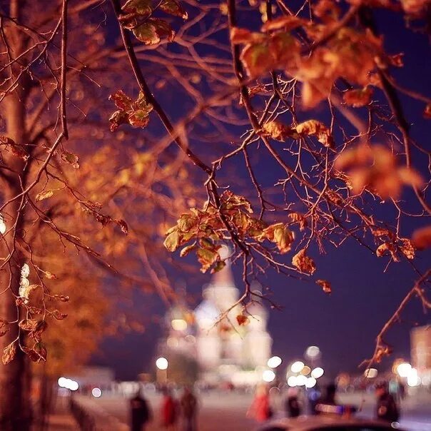 Хлопок в москве ночью. Осенний город. Осень ночь. Москва осенью ночью. Ночная осенняя Москва.