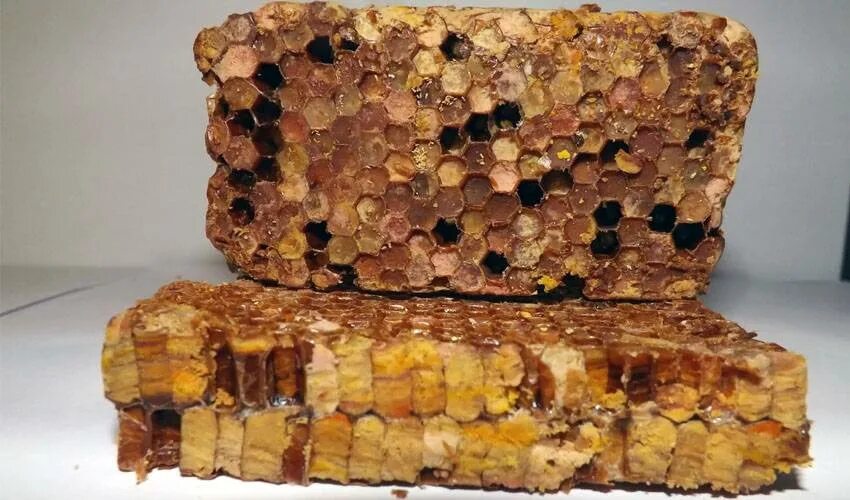 Как хранить пергу