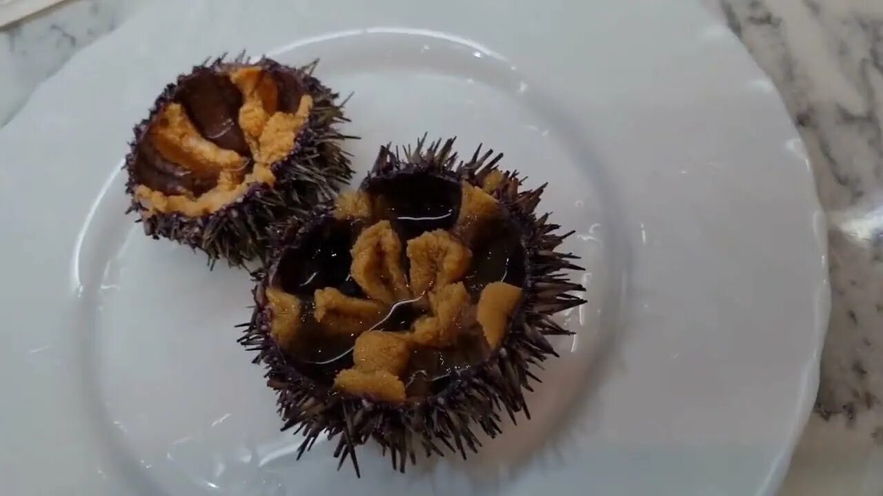 Морской еж вкусный