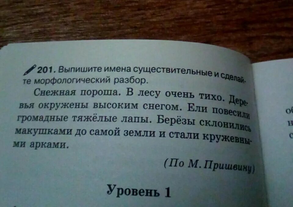 Морфологический разбор существительного пороша. Выпиши имена. Выпишите имена существительные и сделайте морфологический разбор. Выпиши имена существительные.