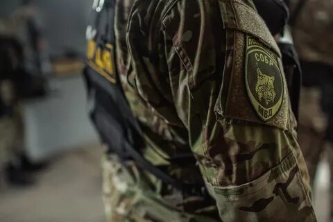 Собр рысь