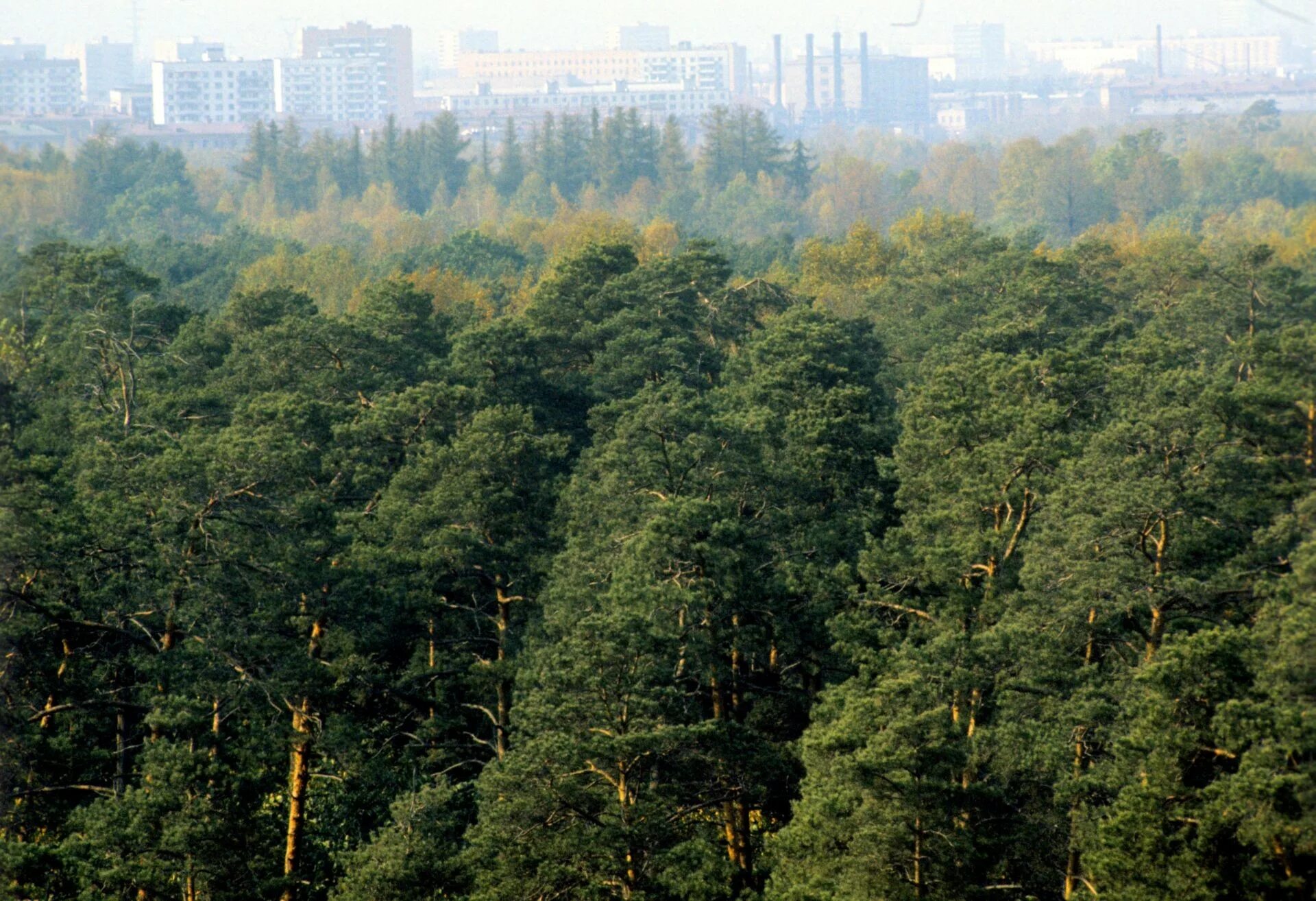 Зелено защитные зоны. Лесопарковый зеленый пояс г. Москвы. Зеленый пояс "зеленый щит" города. Лесопарковые и зеленые зоны. Лесопарковый защитный пояс (ЛПЗП) Москвы.