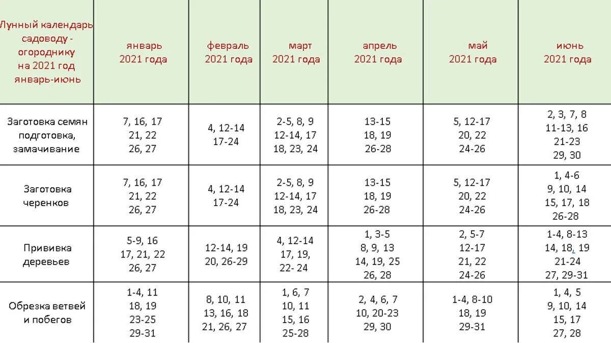 В какие дни можно посадить. Лунный календарь 2021 огородника посадка рассады. Лунный календарь на 2021 год садовода и огородника. Лунный календарь посевной на 2021 садовода и огородника. Лунный календарь огородника на 2021 посевной на 2021 год садовода.
