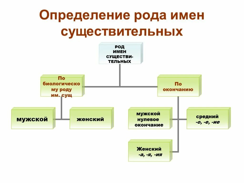 Алгоритм по родам. Определение рода имен существительных. Определение рода имени существительного. Определение рода имен. Определить род имени существительного.