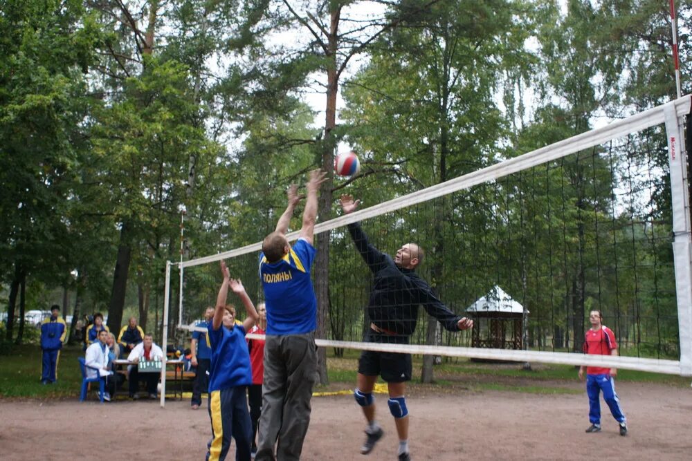 Дол выборгского района