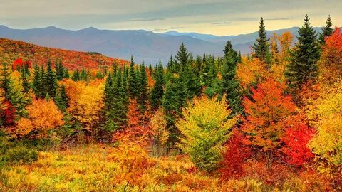 Fall but