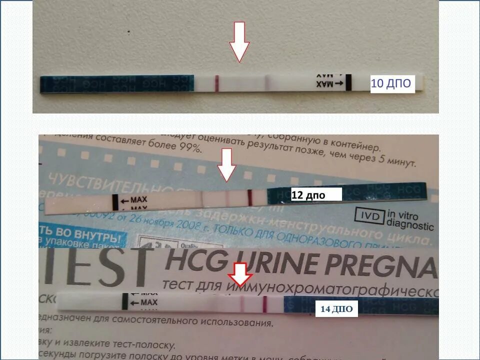 Какой тест показывает до задержки форум. Evitest на беременность 10 дпо. 10 дпо эвитест положительный. тест на беременность 12 дпо эвитест. 10 дней после овуляции тест эвитест.