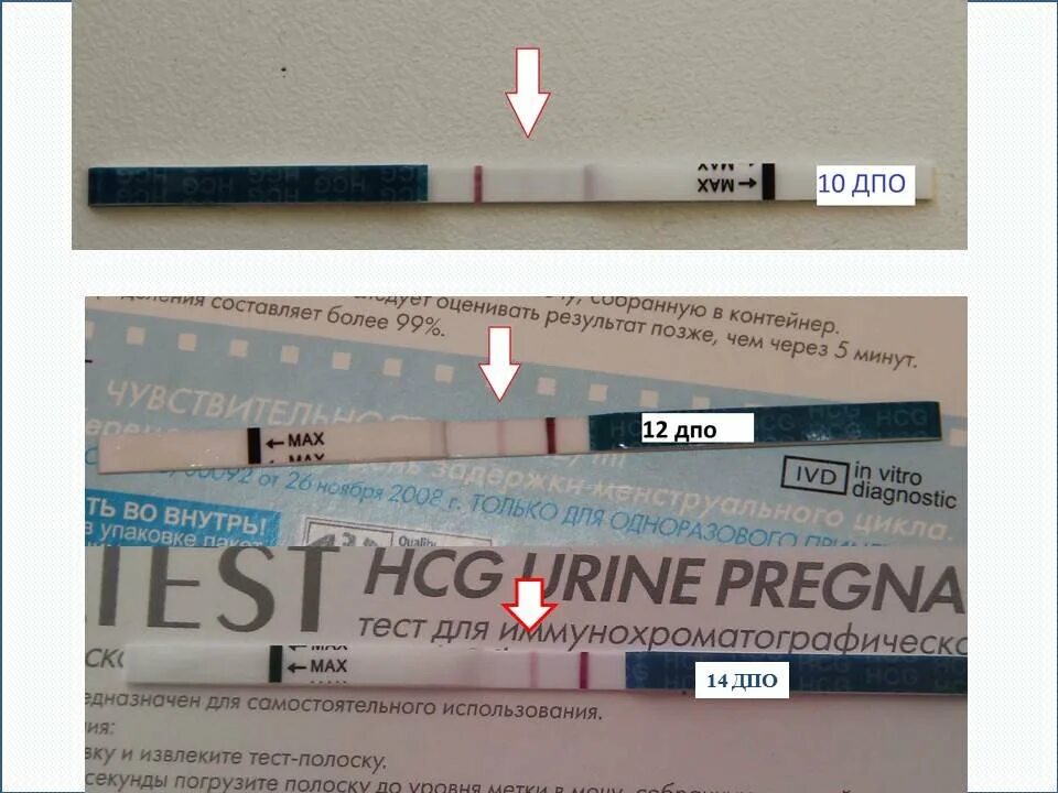 Забеременела после овуляции форум. Evitest на беременность на 10 ДПО. 10 ДПО эвитест положительный. Эвитест 2 полоски. Тест на беременность 12 ДПО эвитест.