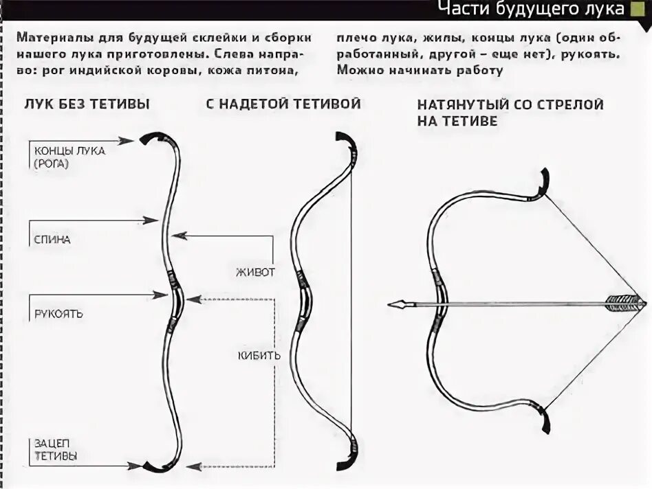 Лук своими руками схема и размеры Trad : Newbie looking for advice on takedown bow Takedown recurve bow, A