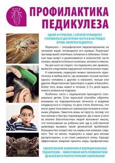 Повторная обработка педикулеза через сколько дней