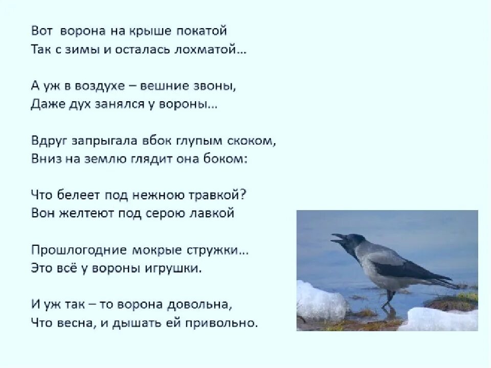 Звон сороки. Стих ворона блок. Стих ворона вот ворона на крыше покатой.