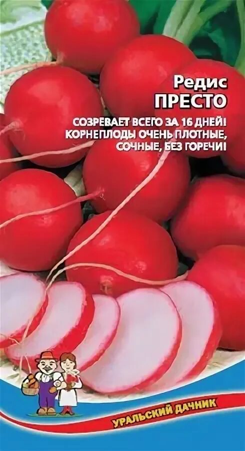 Редис срок созревания. Редис престо. редис 16 дней уральский дачник. редис дачный витамин 2гр (сиб сад). редис престо фото.