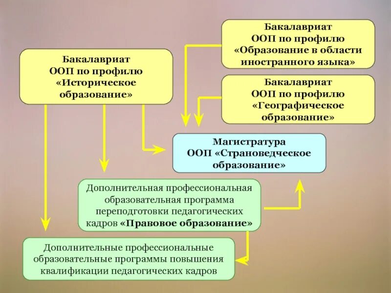 Профили направлений бакалавриата. Бакалавриат педагогическое образование. Бакалавр педагогического образования ин яз. Направления бакалавриата педагогический. Направление подготовки педагогическое образование.