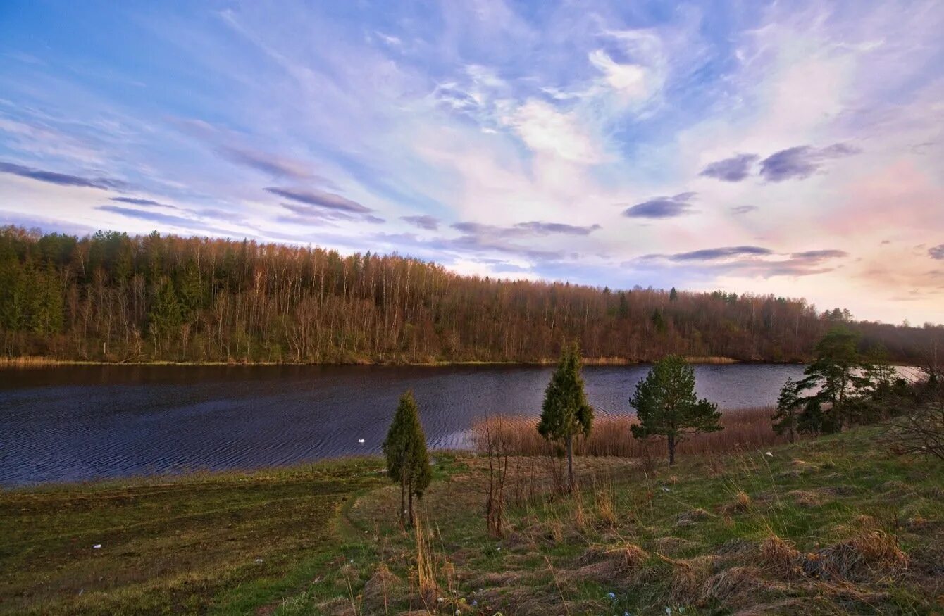 Реки вычегда и печора. Сыктывкар сысола и вычегда. Печора (река) реки республики коми. Реки россии печора. Река печора коми.