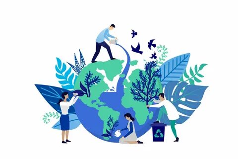 Экологические молодежные проекты