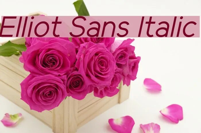 Pt Sans Italic. Sans italic