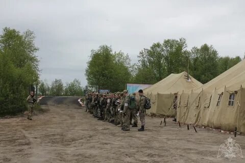 Полевой выход