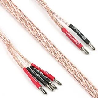 Speaker cable