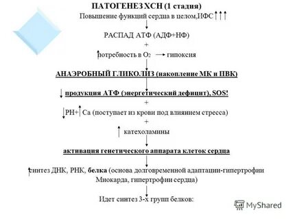 Что такое хсн 1 степени